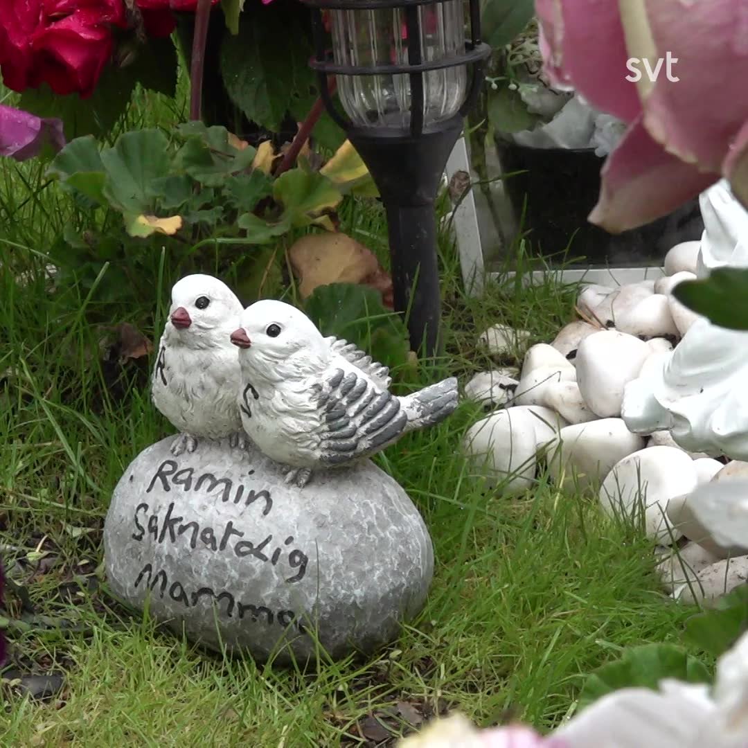 Sirans bror Ramin sköts ihjäl på Öster i Gävle | SVT Nyheter